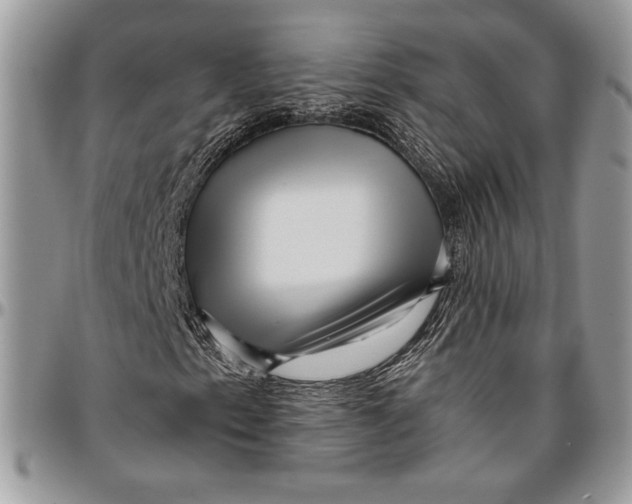 X0000096381153200802141424