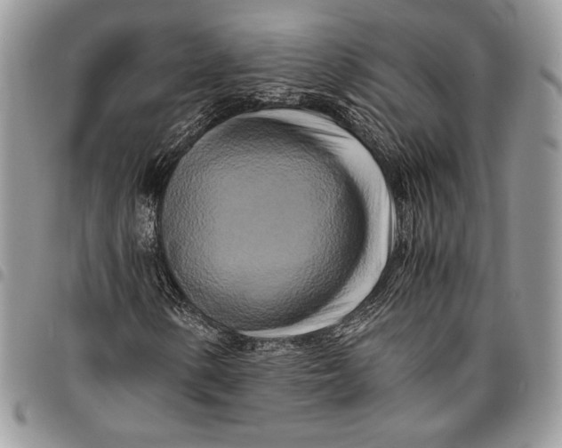 X0000096381154200802141424