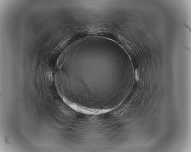 X0000096381155200802141424