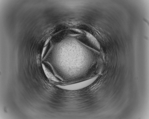 X0000096381156200802141424