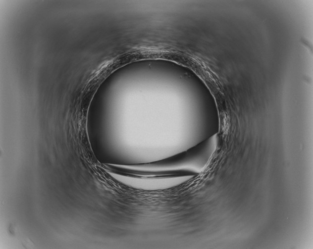 X0000096381157200802141424