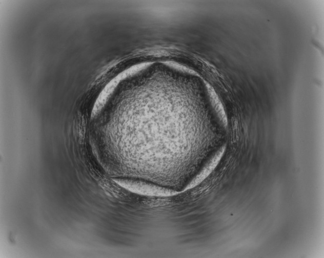 X0000096381158200802141424