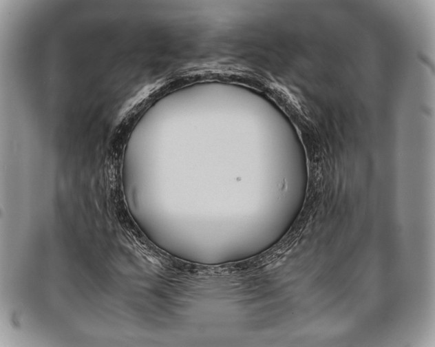 X0000096381159200802141424