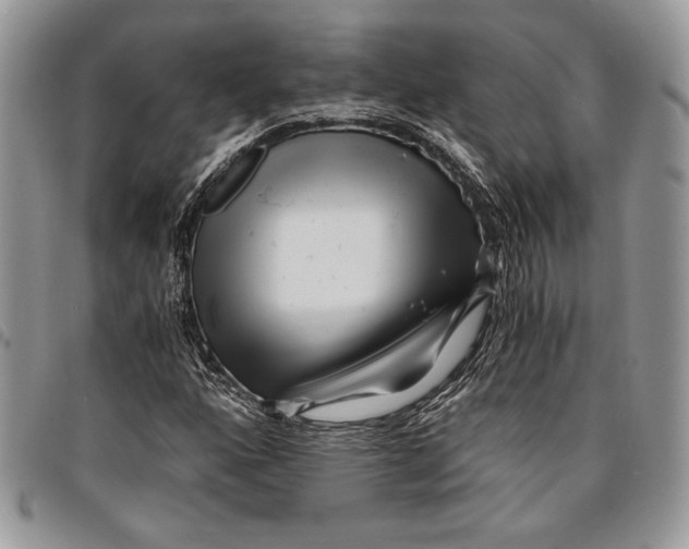 X0000096381160200802141424