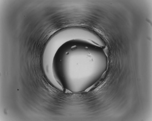 X0000096381161200802141424