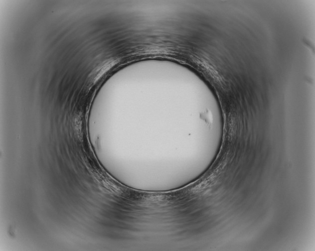 X0000096381162200802141424