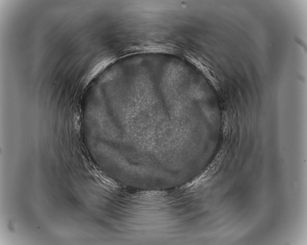 X0000096381163200802141424