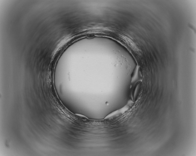 X0000096381164200802141424