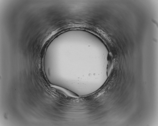 X0000096381165200802141424