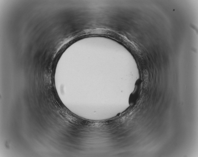 X0000096381166200802141424