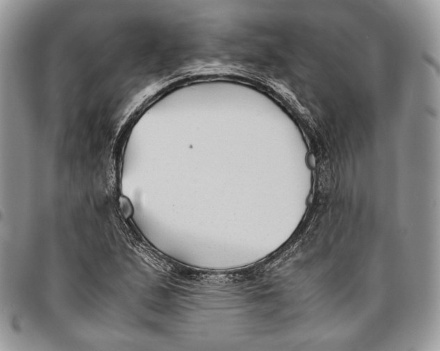 X0000096381167200802141424