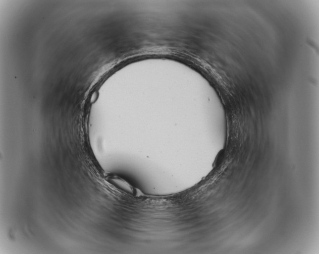 X0000096381168200802141424