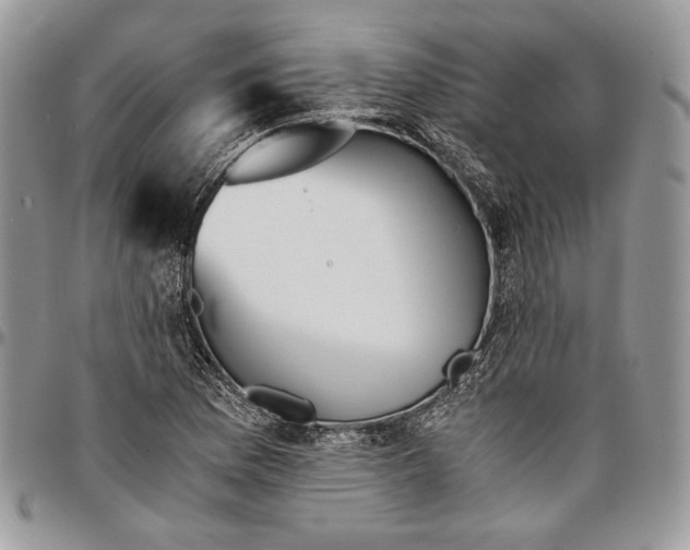 X0000096381169200802141424