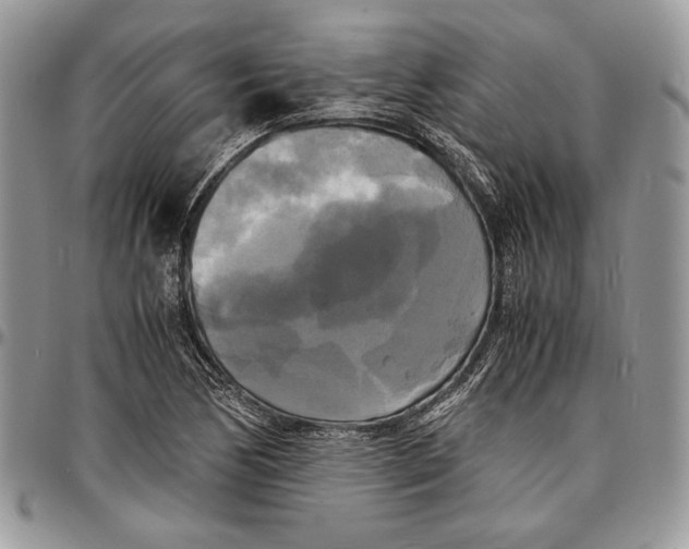 X0000096381170200802141424