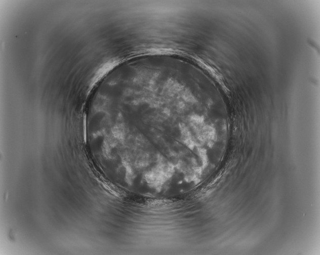 X0000096381171200802141424