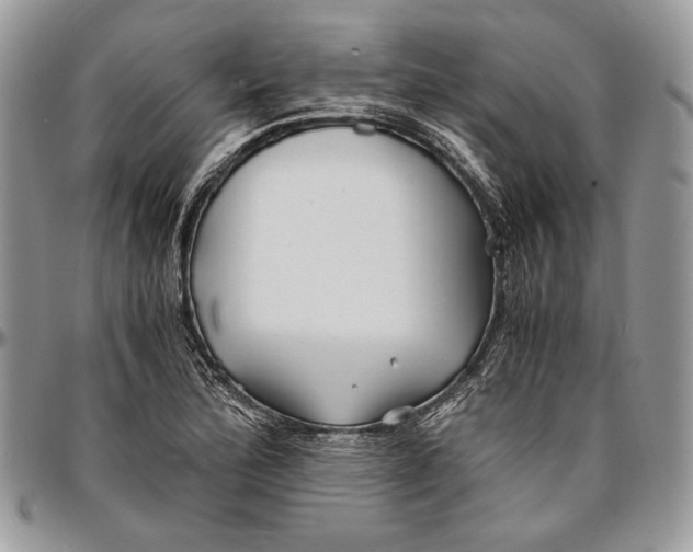 X0000096381172200802141424