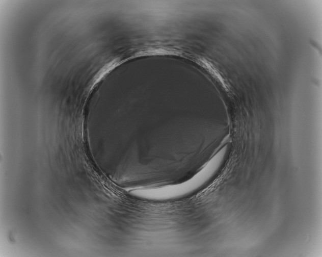 X0000096381173200802141424