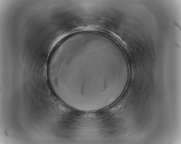 X0000096381174200802141424