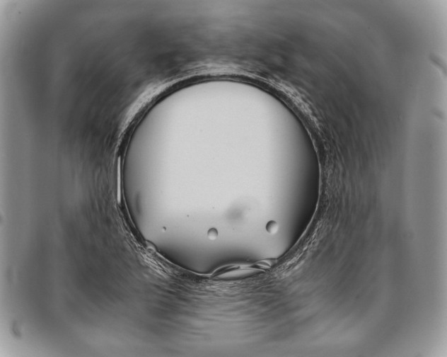 X0000096381175200802141424