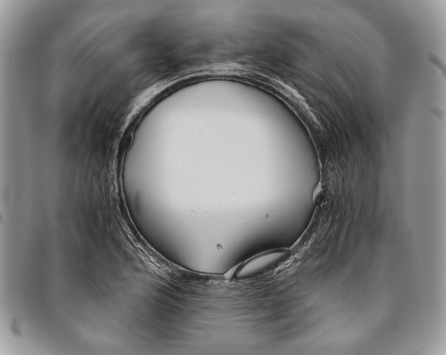 X0000096381176200802141424