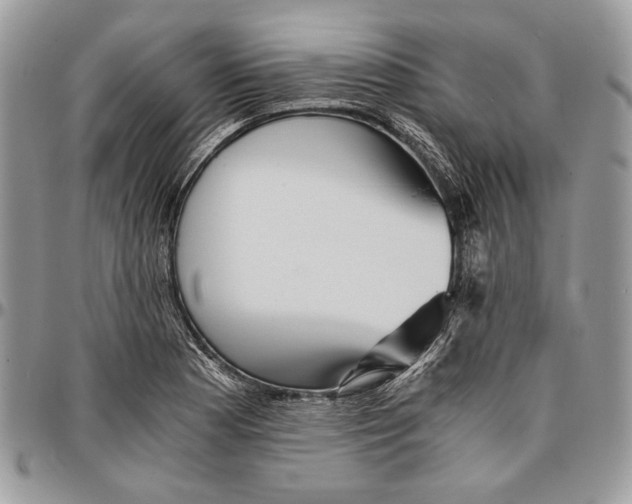 X0000096381177200802141424