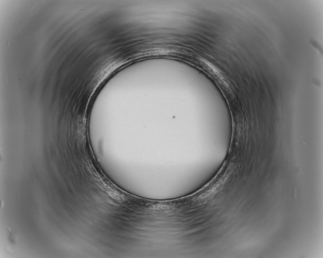 X0000096381178200802141424