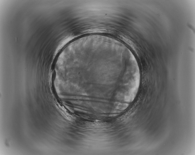 X0000096381179200802141424