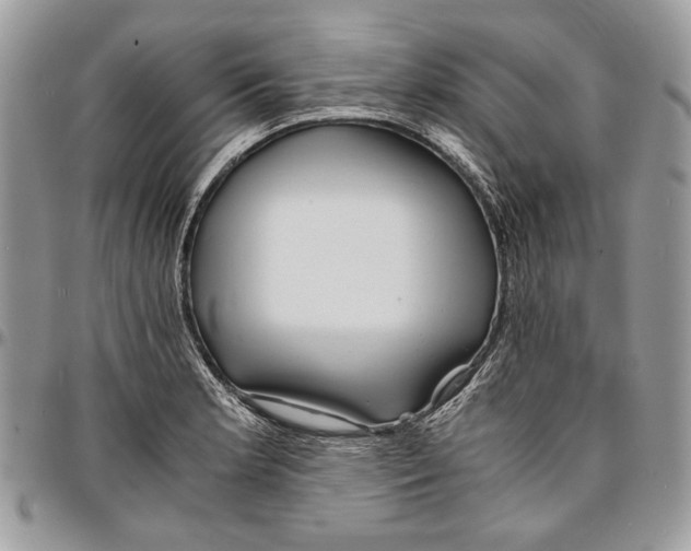 X0000096381181200802141424