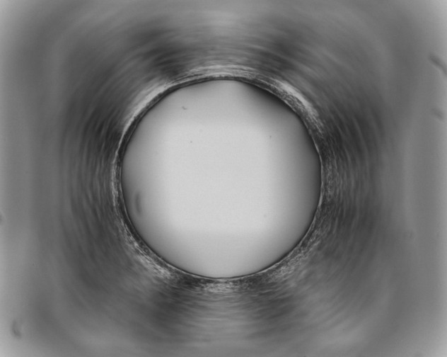 X0000096381182200802141424