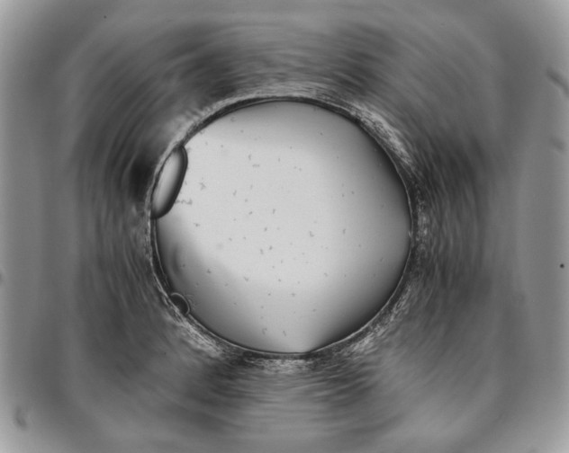 X0000096381184200802141424