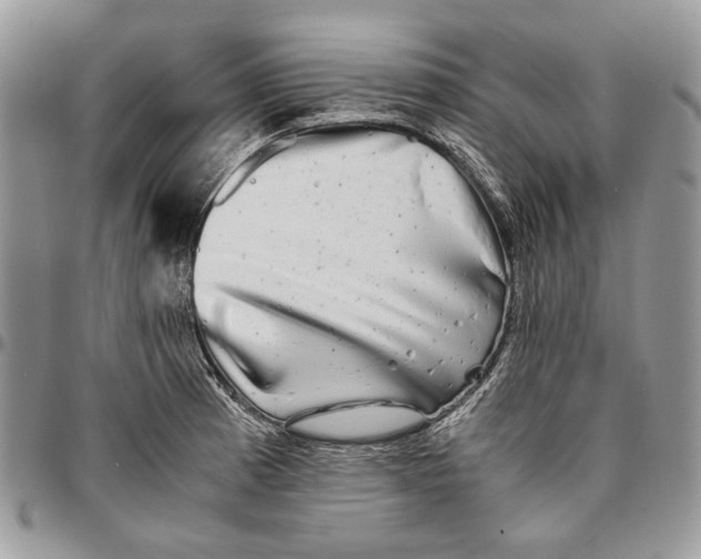 X0000096381185200802141424