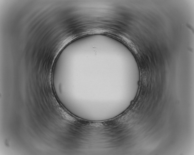 X0000096381186200802141424