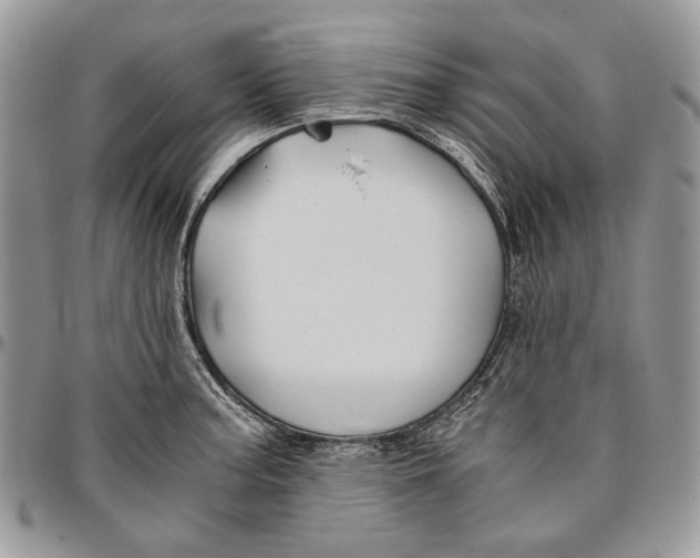 X0000096381187200802141424