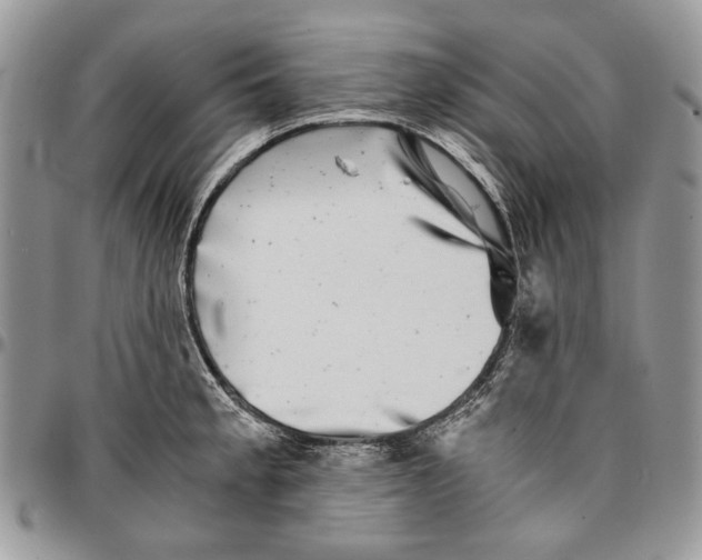 X0000096381189200802141424