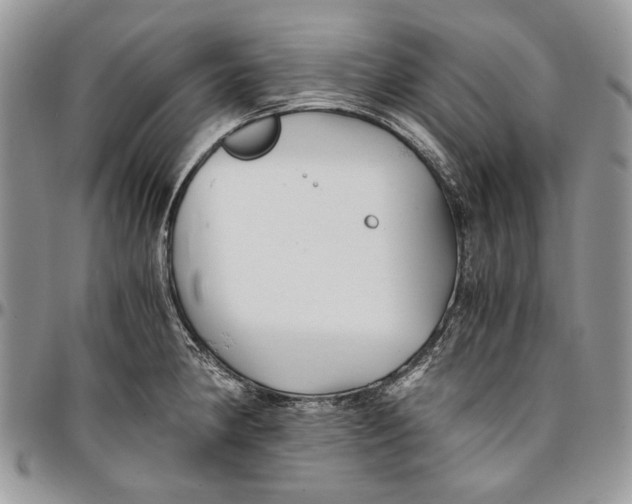 X0000096381190200802141424