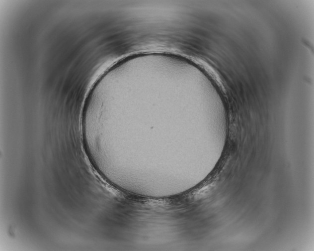 X0000096381191200802141424