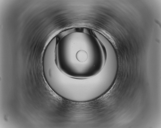 X0000096381192200802141424