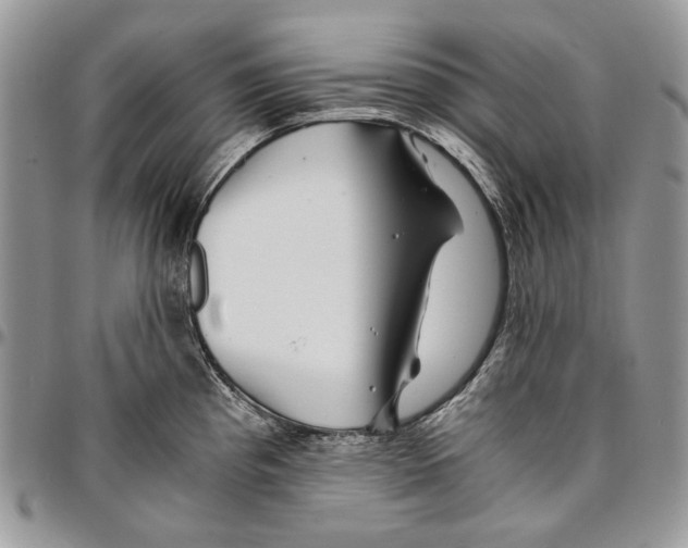 X0000096381193200802141424