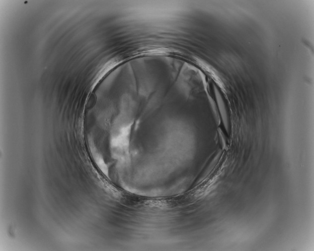 X0000096381194200802141424