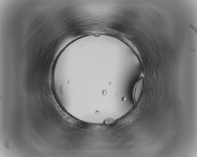 X0000096381195200802141424