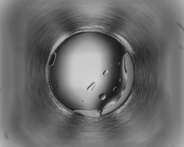 X0000096381196200802141424