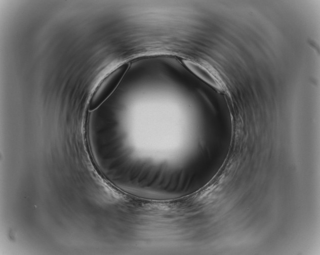 X0000096381197200802141424