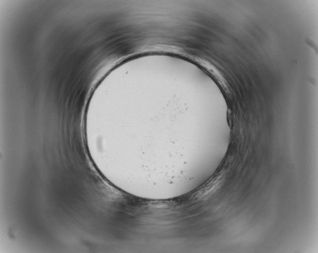 X0000096381199200802141424