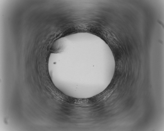 X0000096381201200802141423