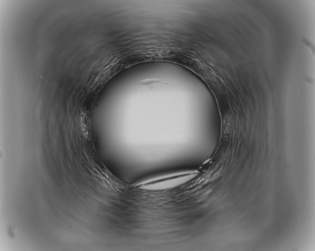 X0000096381202200802141423