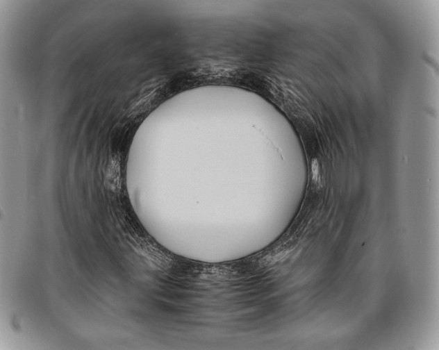 X0000096381203200802141423