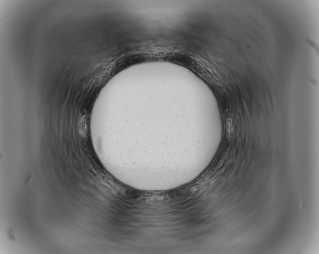 X0000096381204200802141423