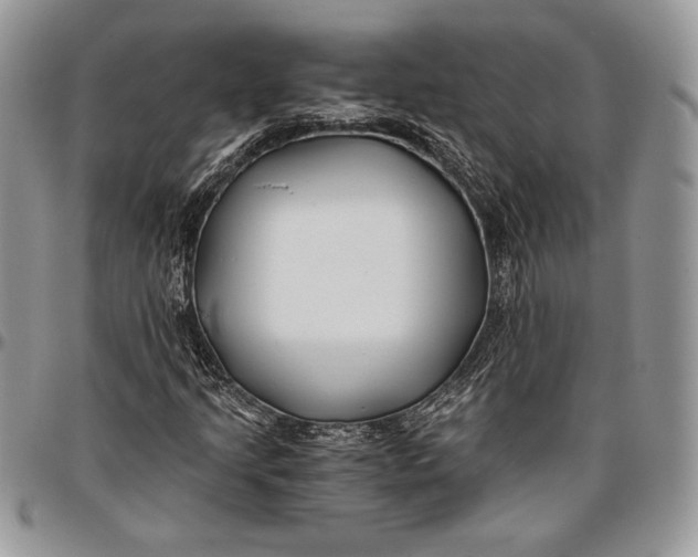 X0000096381205200802141423