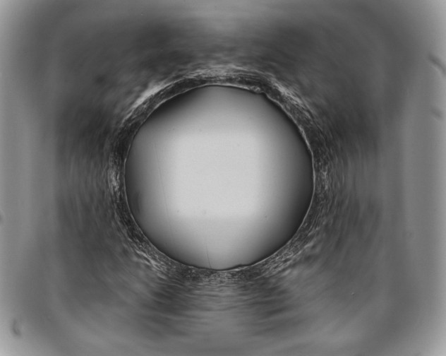 X0000096381206200802141423