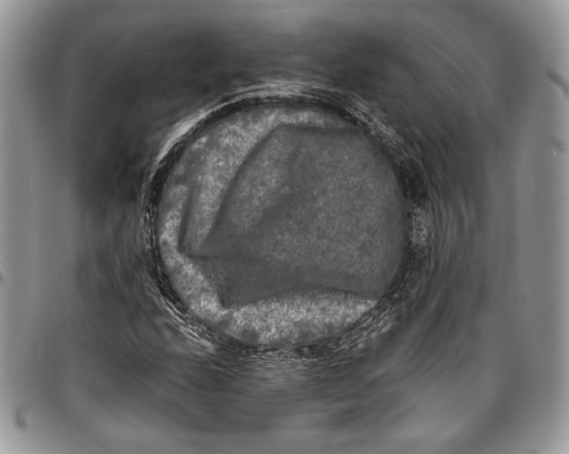 X0000096381208200802141423